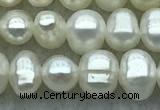 FWP28 14.5 inches 4.8mm potato white freshwater pearl strands