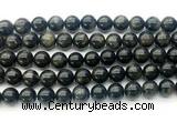 CAE323 15.5 inches 10mm round astrophyllite gemstone beads