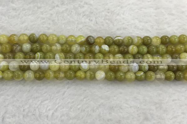 CAA1951 15.5 inches 6mm round banded agate gemstone beads
