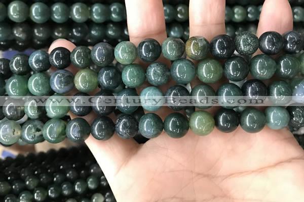 CAA2359 15.5 inches 10mm round moss agate beads wholesale