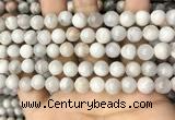 CAA4929 15.5 inches 8mm round grey agate beads wholesale