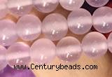 CAA5081 15.5 inches 6mm round purple agate beads wholesale