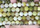 CAA5160 15.5 inches 12mm faceted round banded agate beads