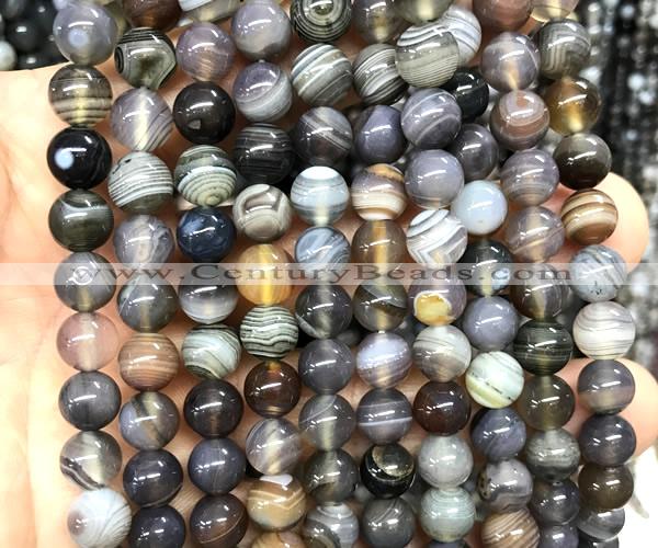 CAA6302 15 inches 8mm round Botswana agate gemstone beads