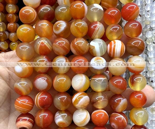 CAA6369 15 inches 12mm round orange banded agate beads wholesale