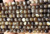 CAA6396 15 inches 6mm round coffee banded agate beads wholesale