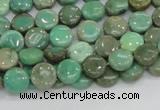 CAB25 15.5 inches 8mm coin green grass agate gemstone beads