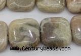 CAG3898 15.5 inches 20*20mm square chrysanthemum agate beads