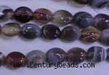 CAG4450 15.5 inches 8*10mm oval botswana agate beads wholesale