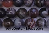 CAG5953 15.5 inches 10mm round botswana agate beads wholesale