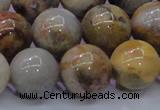 CAG6675 15.5 inches 14mm round natural crazy lace agate beads