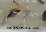 CAG6764 15 inches 14mm round Montana agate beads wholesale