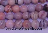 CAG7302 15.5 inches 8mm round red botswana agate gemstone beads