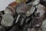 CAG737 15.5 inches 10*14mm rectangle botswana agate beads wholesale