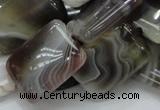 CAG740 15.5 inches 16*20mm rectangle botswana agate beads wholesale