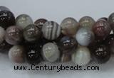 CAG983 15.5 inches 16mm round botswana agate beads wholesale