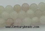 CAJ461 15.5 inches 6mm round purple aventurine beads wholesale