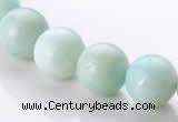 CAM19 15.5 inches 12mm natural amazonite round beads Wholesale