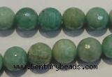 CAM815 15.5 inches 12mm faceted round Brazilian amazonite beads