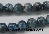 CAP06 15.5 inches 10mm round apatite gemstone beads wholesale