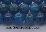 CAP362 15.5 inches 8mm round apatite gemstone beads wholesale