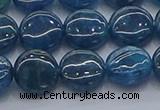 CAP381 15.5 inches 10mm flat round apatite gemstone beads