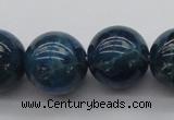 CAP404 15.5 inches 12mm round A grade natural apatite beads