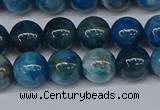 CAP412 15.5 inches 8mm round apatite gemstone beads wholesale