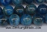 CAP413 15.5 inches 10mm round apatite gemstone beads wholesale