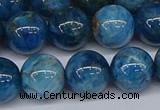 CAP414 15.5 inches 12mm round apatite gemstone beads wholesale