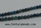 CAP51 15.5 inches 4mm round dyed apatite gemstone beads wholesale