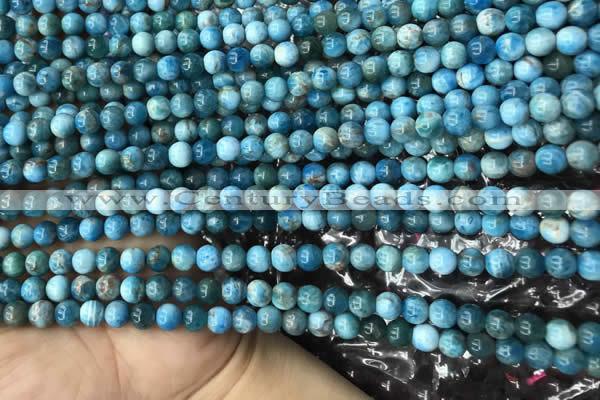 CAP576 15.5 inches 4mm round apatite beads wholesale