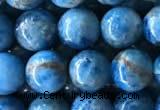 CAP584 15.5 inches 8mm round apatite gemstone beads