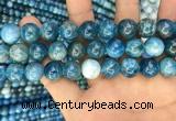 CAP602 15.5 inches 12mm round natural apatite beads wholesale