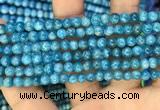 CAP605 15.5 inches 5mm round natural apatite gemstone beads