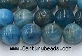 CAP630 15.5 inches 6mm round apatite beads wholesale