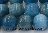 CAP632 15.5 inches 10mm round apatite beads wholesale