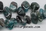 CAP73 15.5 inches 10*20mm nugget dyed apatite gemstone beads wholesale