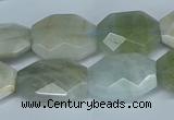 CAQ590 15.5 inches 15*20mm faceted freeform aquamarine beads