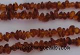 CAR201 24 inches 3*6mm natural amber chips beads wholesale