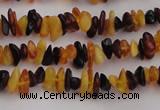 CAR204 24 inches 3*8mm natural amber chips beads wholesale