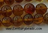 CAR527 15.5 inches 7mm - 8mm round natural amber beads wholesale