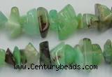 CAU407 15.5 inches 4*8mm - 6*14mm Australia chrysoprase chips beads