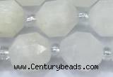 CCB1451 15 inches 9mm - 10mm faceted white moonstone beads