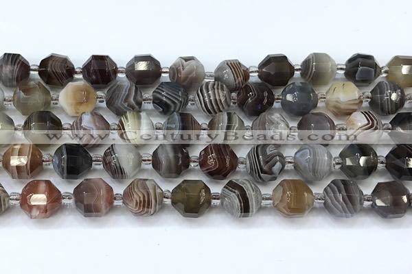 CCB1474 15 inches 9mm - 10mm faceted botswana agate beads
