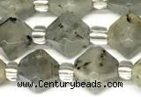 CCB1610 15 inches 10mm faceted labradorite gemstone beads