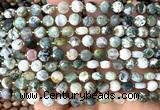CCB1738 15 inches 6mm faceted coin tree agate beads