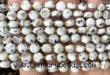 CCB1787 15 inches 6mm faceted coin sesame jasper beads