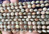 CCB1815 15 inches 6mm faceted coin Chinese unakite beads