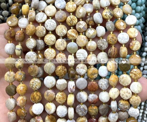 CCB1816 15 inches 6mm faceted coin fossil coral beads